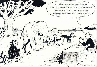 Zveri